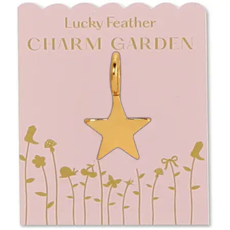 Star Charm