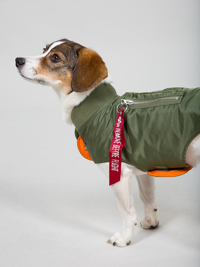 DOG MA-1 NYLON FLIGHT JACKET OUTERWEAR Alpha Industries SAGE S