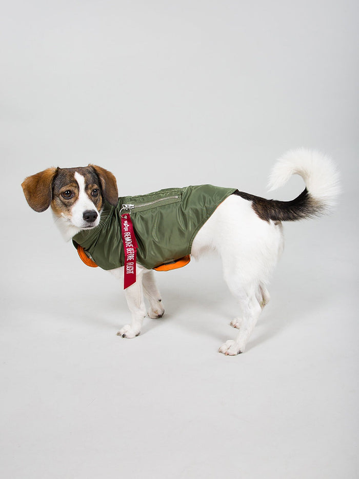DOG MA-1 NYLON FLIGHT JACKET OUTERWEAR Alpha Industries