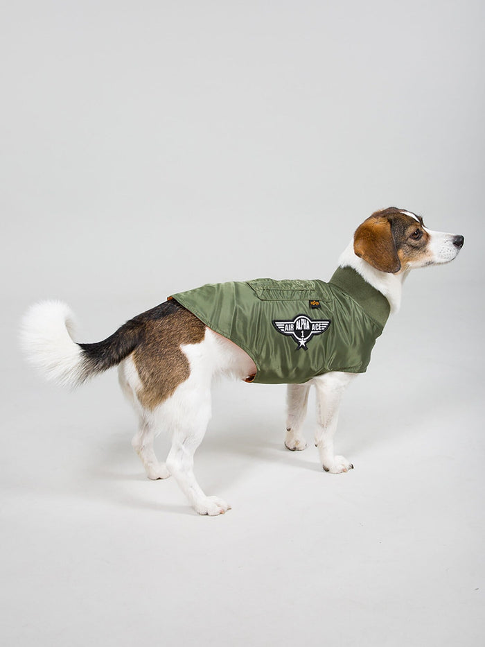 DOG MA-1 NYLON FLIGHT JACKET OUTERWEAR Alpha Industries