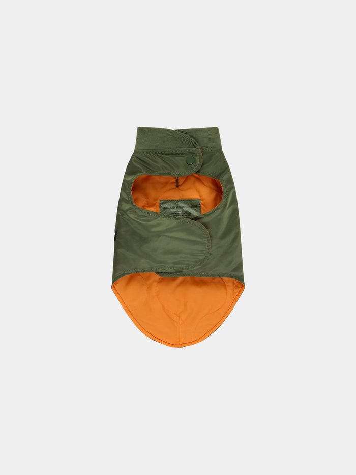 DOG MA-1 NYLON FLIGHT JACKET OUTERWEAR Alpha Industries