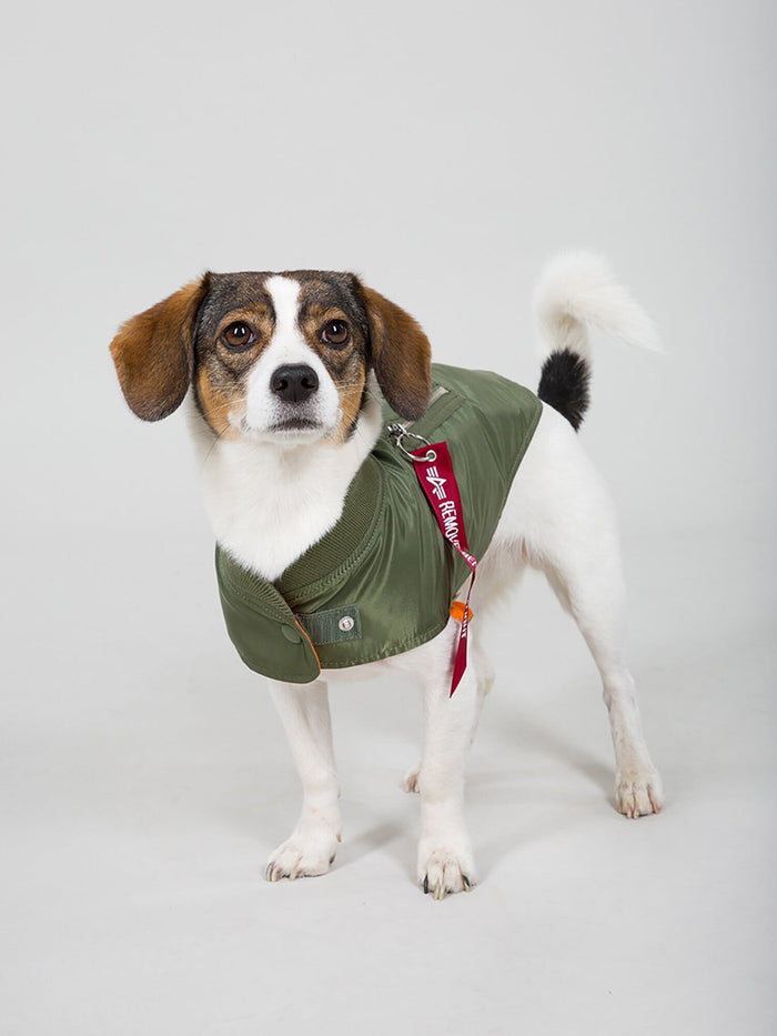 DOG MA-1 NYLON FLIGHT JACKET OUTERWEAR Alpha Industries