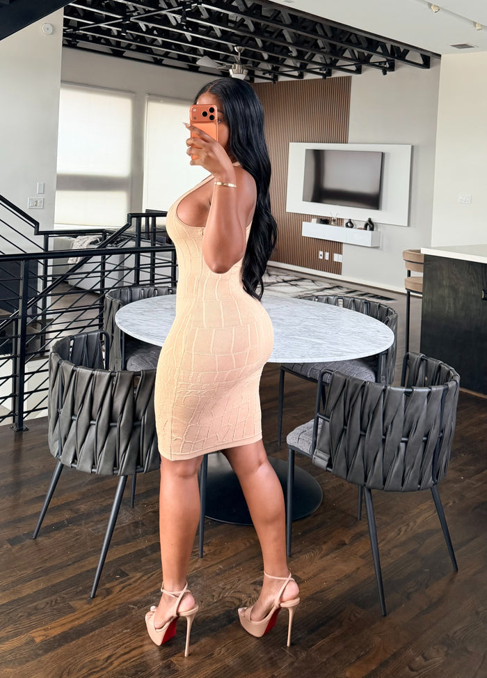Nude Textured dress