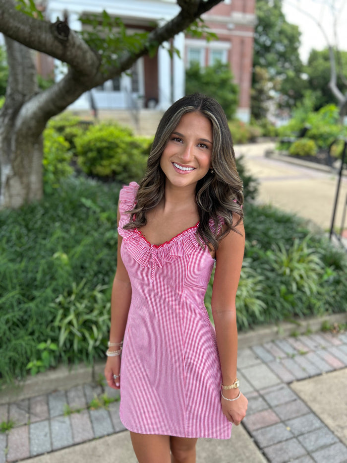 PARKER GINGHAM DRESS