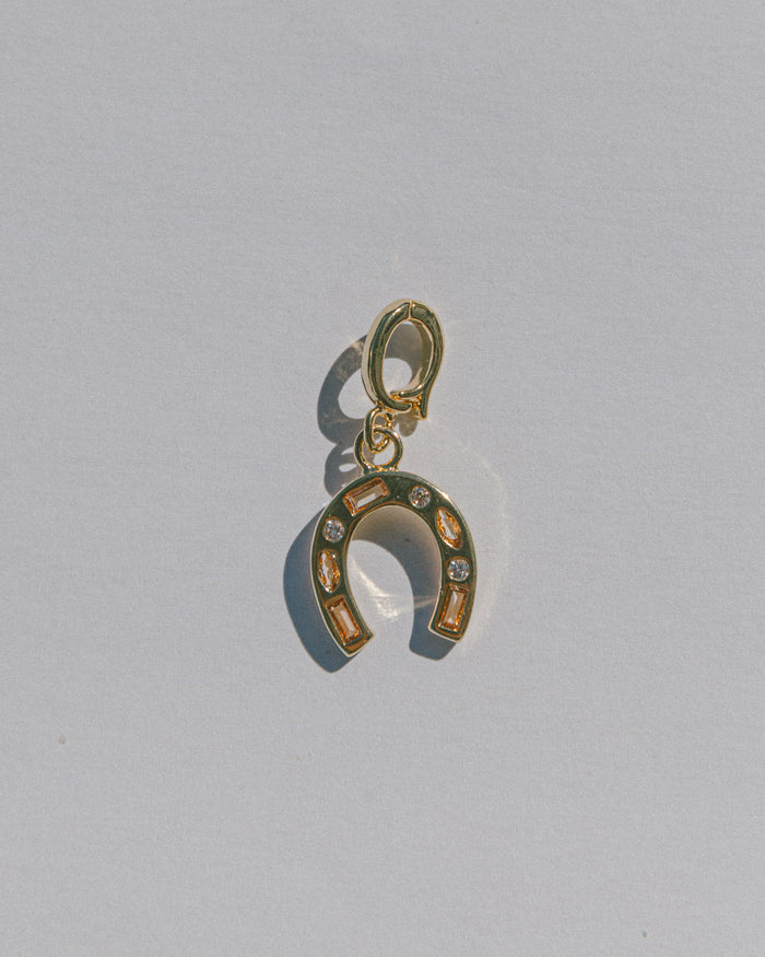 Rustic Horseshoe Charm