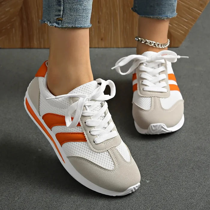 Orange / 36